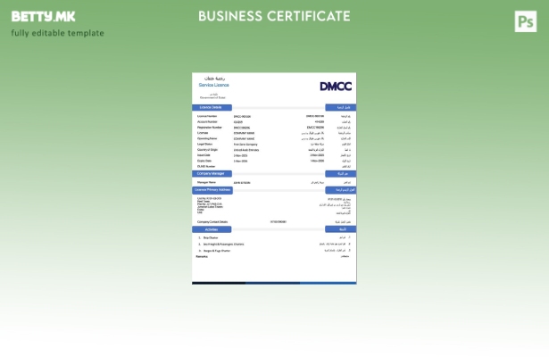 Модерен стил ОАЕ Дубаи лиценца за услуга Шаблон за Word и PDF